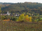 Blick vom Weinberg Gewann Eck nach S�dosten auf Bleichheim am 27.10.2009