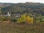 Blick vom Weinberg Gewann Eck nach Südosten auf Bleichheim am 27.10.2009