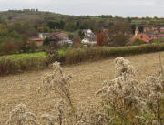 Blick nach Nordwesten - von Broggingen kommend - �ber Ettenheimweiler zum Heubergturm am 26.10.2009