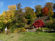 Blick nach Norden zum Forsthaus an der Kart�userstrasse am 29.10.2009