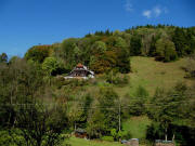 Blick nach Norden hoch zum Gallihof 