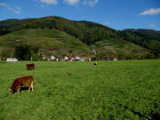 Blick vom Kappenhof nach Norden zum Glottert�ler Eichberg am 19.10.2009
