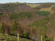 Blick nach Norden über die Anhöhe 880 Helmiseck zu Stohren und Gießhübel am 19.11.2009