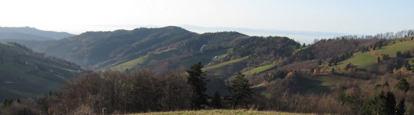 Blick vom Helmiseck nach Südwesten ins Münstertal am 19.11.2009 - Laitschenbacher Kopf (769 m) in der Mitte