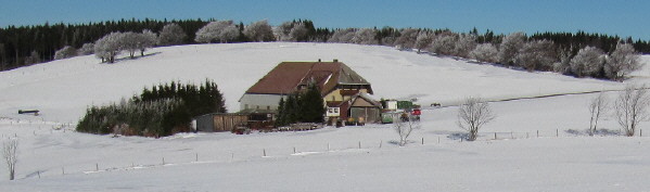 Blick nach Norden auf dem Schauinsland über den Hochebenehof zu den vereisten Wetterbuchen am 26.12.2009