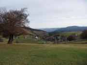Blick nach Osten im Juli �ber Hofsgrund bis zum Hinterwaldkopf am 31.10.2009