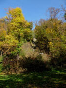 Blick vom kleinen Kanonenplatz nach Norden hoch zur Treppe am 31.10.2009