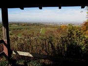 Blick von der Weinbergh�tte auf dem Hummelberg am Hundsr�cken nach Westen am 27.10.2009