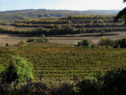 Blick vom Leinfeldberg nach Osten am 27.10.2009 