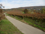 Blick nach Noden von Mundingen �ber den H�henweg nach Landeck am 28.10.2009