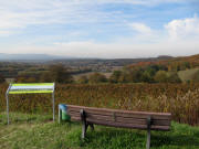 Blick vom H�henweg nach West ins Ramstal und die Rheinebene am 28.10.2009