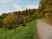 Blick vom H�henweg an der Landeck nach Westen am 28.10.2009 