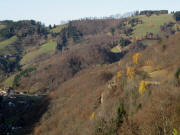 Blick vom Abzweig Schierlebuckweg nach Westen übers Lusthäusle zum Sonnhaldeberg am 19.11.209