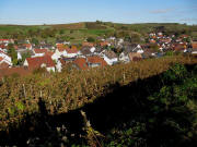 Blick vom Brunsberg nach Norden �ber Malterdingen zum Girsberg am 27.10.2009