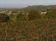 Blick vom Brunsberg nach Norden �ber Malterdingen zur Ruine Lichteneck am 27.10.2009