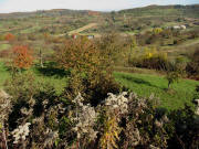 Blick vom Krotteneck nach Norden ins Farntal am 27.10.2009 - Weingut Huber rechts