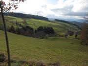 Blick nach Südwesten ins Oberibental zum Dischenhof am 6.11.2009 - oben der Zwerisberg