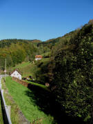 Blick nach Westen �ber die Strasse ins Glottertal zum Kohlerhof am 19.10.2009