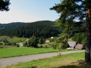 Blick nach S�den am 8.9.2009 �ber den Alten Romben und Birkenb�hl