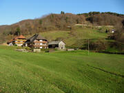 Blick nach Nordosten zur Saier-S�ge am 19.11.2009