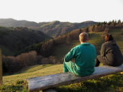 Blick vom Sch�neckhof nach Westen zum Sonnhaldeberg am 19.11.2009 gegen Abend