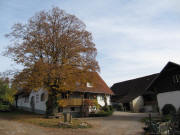 Blick nach Norden zum W�plinsberg am 28.10.2009