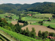 Tele-Blick vom Weg zur Hochburg nach Osten auf Eberb�chle am 6.9.2009