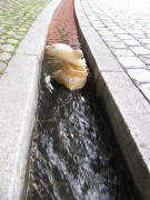 Steinerner Fisch im B�chle beim Adelhauserplatz am 5.9.2009