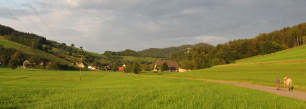 Blick nach Osten ins Rechtenbach am 26.8.2009 in der Abendsonne
