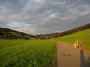 Blick nach Osten ins Rechtenbach bei Stegen am 26.8.2009 in der Abendsonne