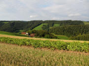 Blick nach Norden �ber Rufenh�usle und Schweigbrunnen am 26.8.2009 - Kartoffeln hier oben