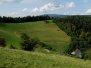 Blick nach Norden �ber das Saierh�usle und den Wanderweg St.M�rgen - Zwerisberg - Wiesneck zum Kandel am 26.8.2009