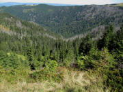 Blick vom St�benwasen nach Nordosten �bers Zastler zum H�usleberg (links) und Hinterwaldkopf am 9.9.2009