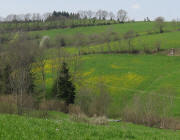 Blick nach Westen zur Immi am 17.4.2010 - Fr�hling