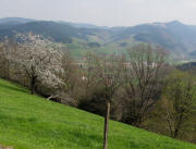 Blick nach Osten von der Immi am 17.4.2010 zum Weilersbach