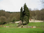 Blick nach Norden am 2.4.2010 - wundersch�ne Mauer hinter der Kartaus