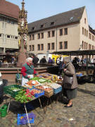 Am Fischerbrunnen auf dem M�nstermarkt 17.4.2010