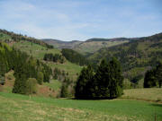 Blick vom Str��chen von Ober-Rollsbach nach Laitenbach am 29.4.2010 nach Norden auf  Wieden-Graben