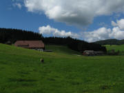 Blick nach Norden zum Fallershof am 1.9.2010