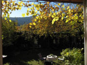 Blick aus dem Wohnzimmer nach Süden am 4.11.2010