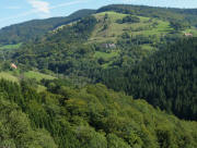 Blick von Holz nach Osten auf Stadel am 20.9.2010