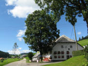 Blick nach Norden zum Kettererhof am 1.9.2010