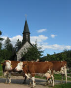Blick nach Osten zur Kirche in Linach am 1.9.2010
