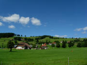 Blick nach Norden ins Schmittenbach am 1.9.2010 - vorne der Ingritthof