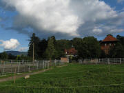 Blick nach Osten zum Schütterlehof am 28.8.2010