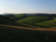 Blick nach Norden zu Kandel (oben links) und Pf�ndlerhansenhof am 4.8.2010 abends