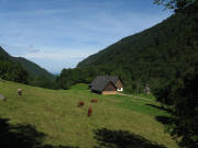Blick nach Westen zum Schweizerhof im hinteren Zastlertal am 25.8.2010