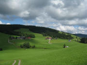 Blick nach Nordosten zum Hilpertenhof und Zipfelhannesenhof (links) am 1.9.2010