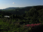 Blick nach Norden vom Steighof zu Kandel und Zwerisberg am 8.8.2010