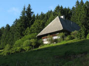 Blick nach Norden zum Weisserhofh�usle am 1.9.2010 - genannt Haldenh�usle